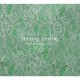 Fashion Jacquard Lace Fabric
